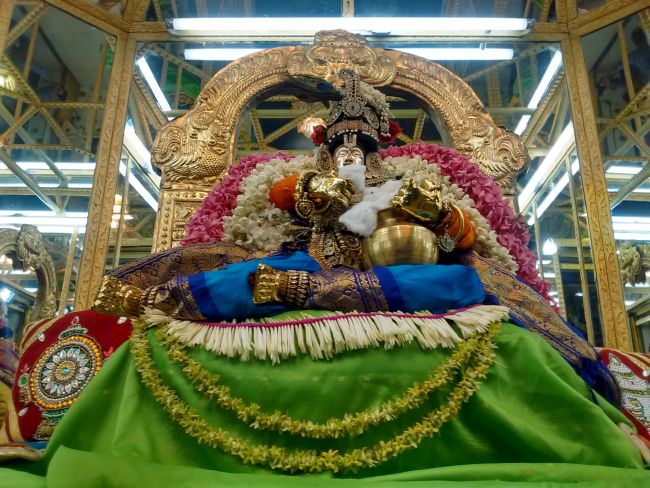 Thiruvelukkai Sri Azhagiya singaperumal kovil Sri Jayanthi Utsavam -2015 15