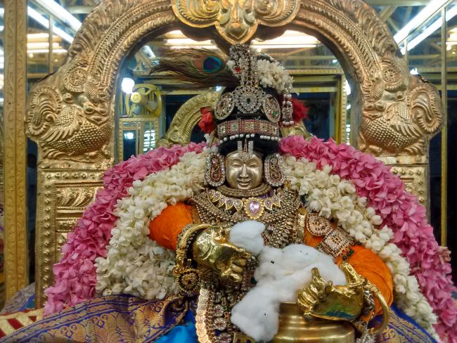 Thiruvelukkai Sri Azhagiya singaperumal kovil Sri Jayanthi Utsavam -2015 16