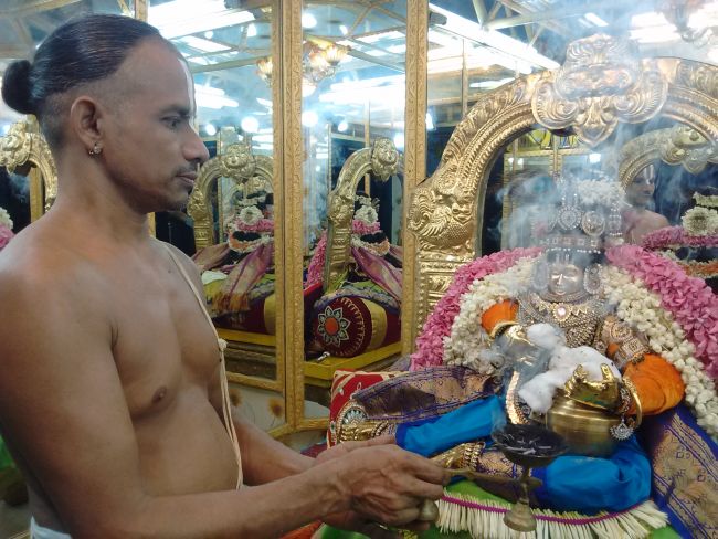 Thiruvelukkai Sri Azhagiya singaperumal kovil Sri Jayanthi Utsavam -2015 21