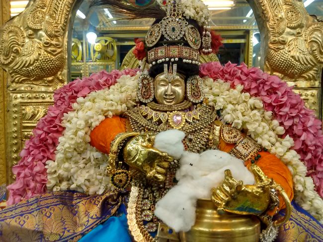 Thiruvelukkai Sri Azhagiya singaperumal kovil Sri Jayanthi Utsavam -2015 25