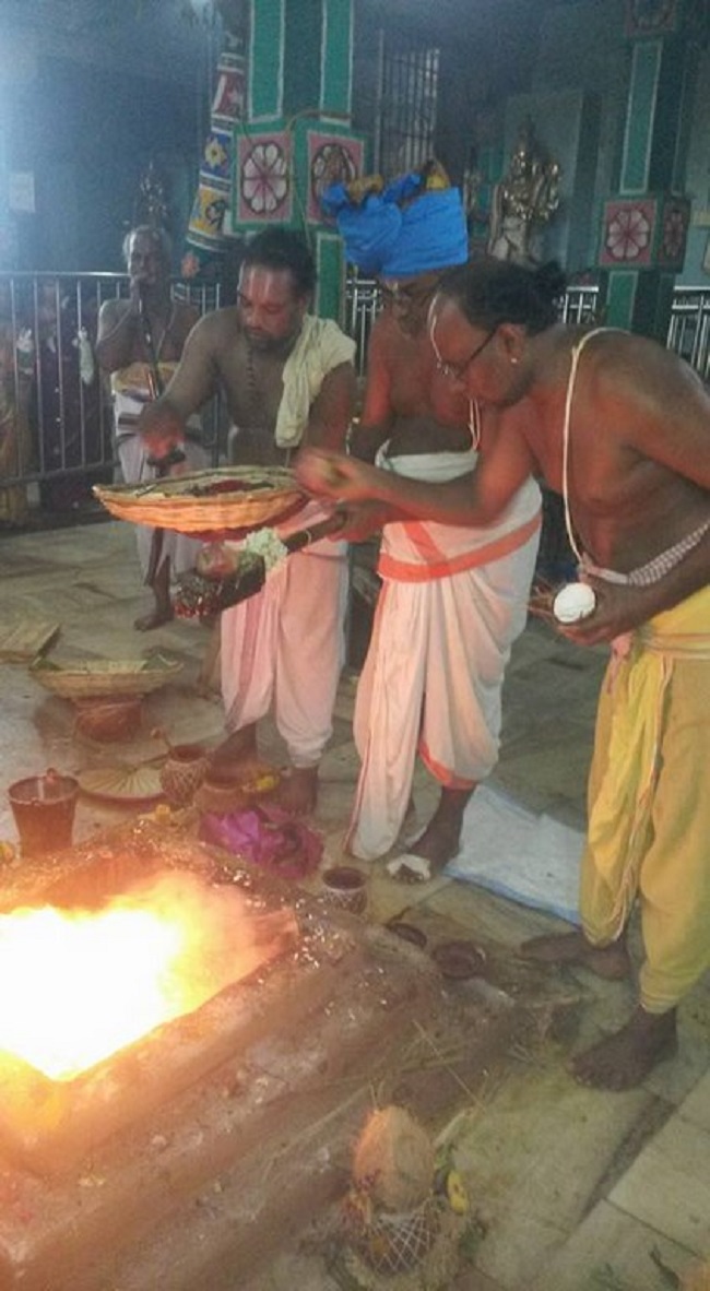 Thiruvinnagar Sri Oppilliappan Venkatachalapathi Temple Manmadha Varusha ThiruPavithrotsavam11