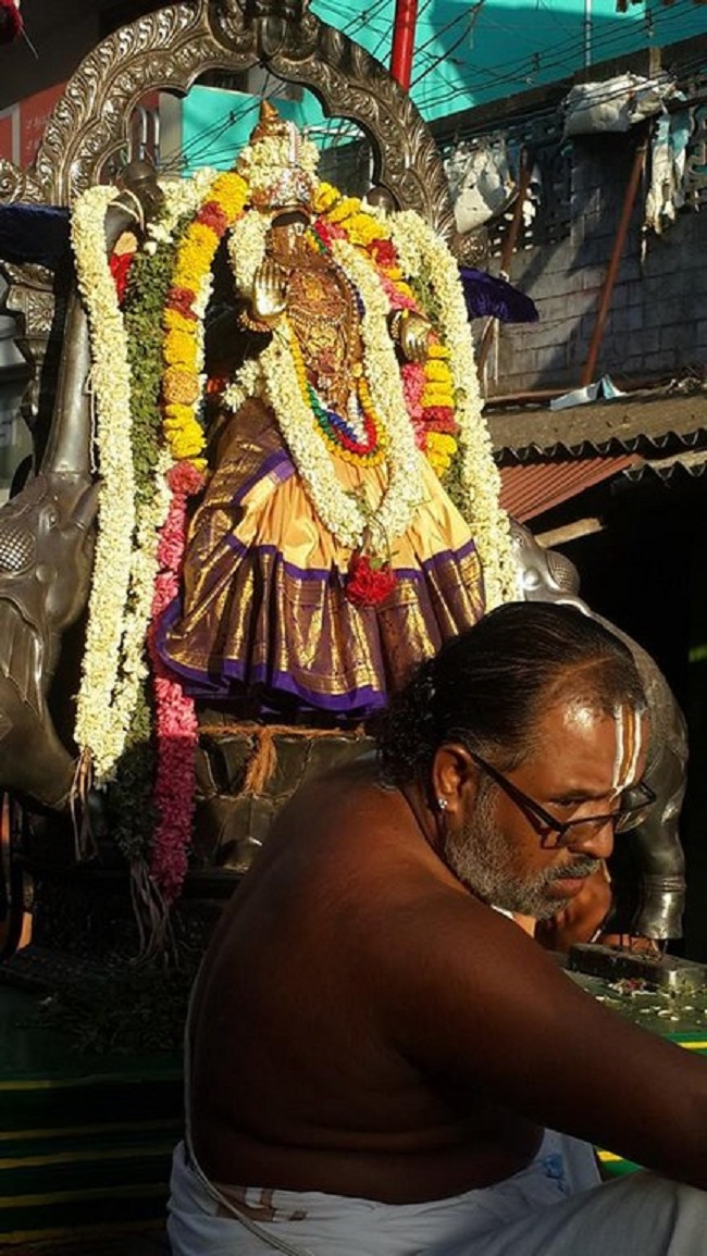 Thiruvinnagar Sri Oppilliappan Venkatachalapathi Temple Manmadha Varusha ThiruPavithrotsavam15