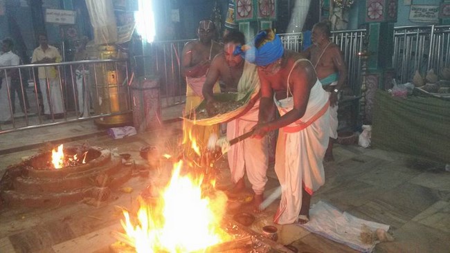 Thiruvinnagar Sri Oppilliappan Venkatachalapathi Temple Manmadha Varusha ThiruPavithrotsavam16
