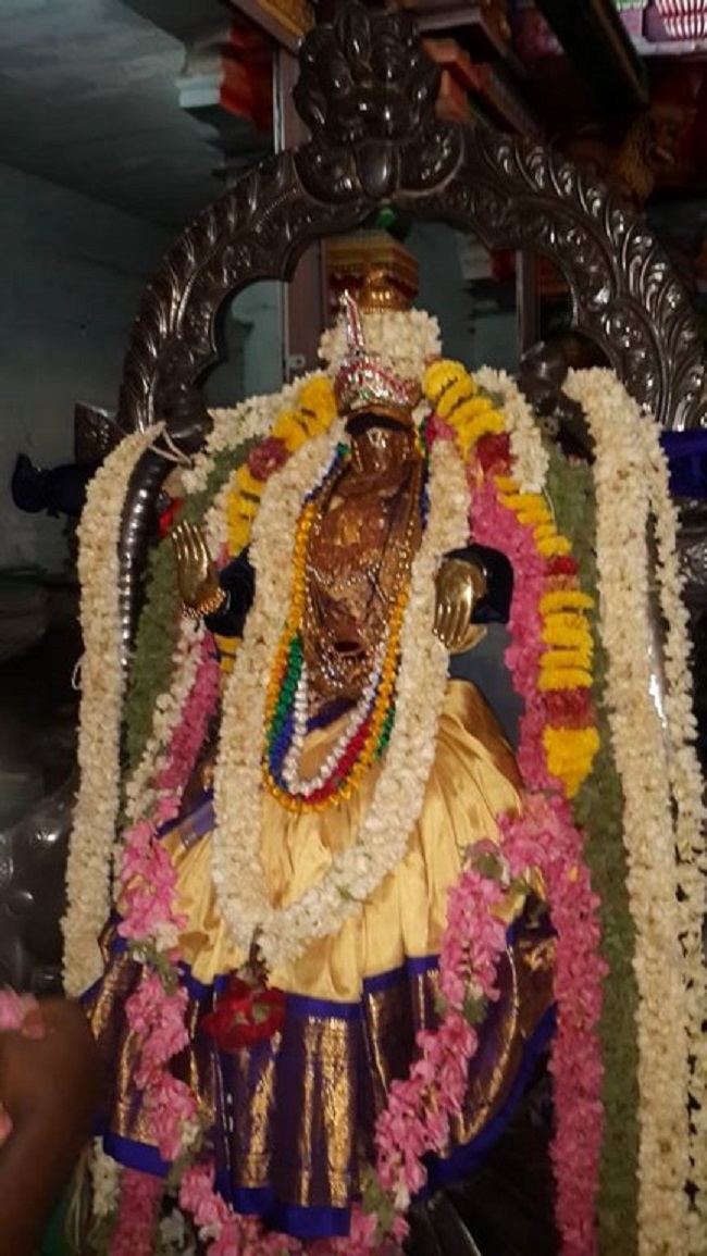 Thiruvinnagar Sri Oppilliappan Venkatachalapathi Temple Manmadha Varusha ThiruPavithrotsavam25