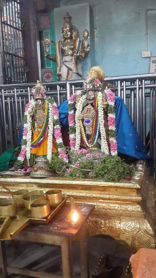 Thiruvinnagar Sri Oppilliappan Venkatachalapathi Temple Manmadha Varusha ThiruPavithrotsavam3