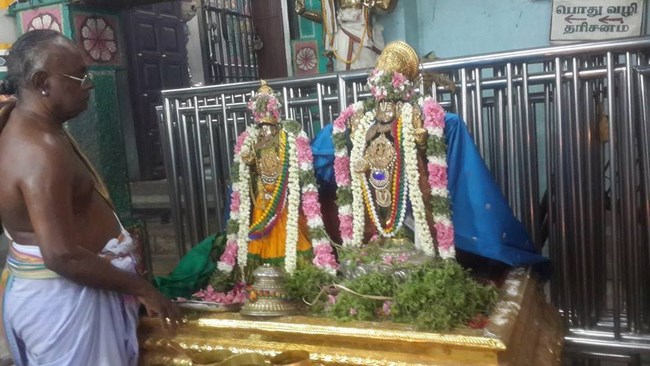 Thiruvinnagar Sri Oppilliappan Venkatachalapathi Temple Manmadha Varusha ThiruPavithrotsavam7