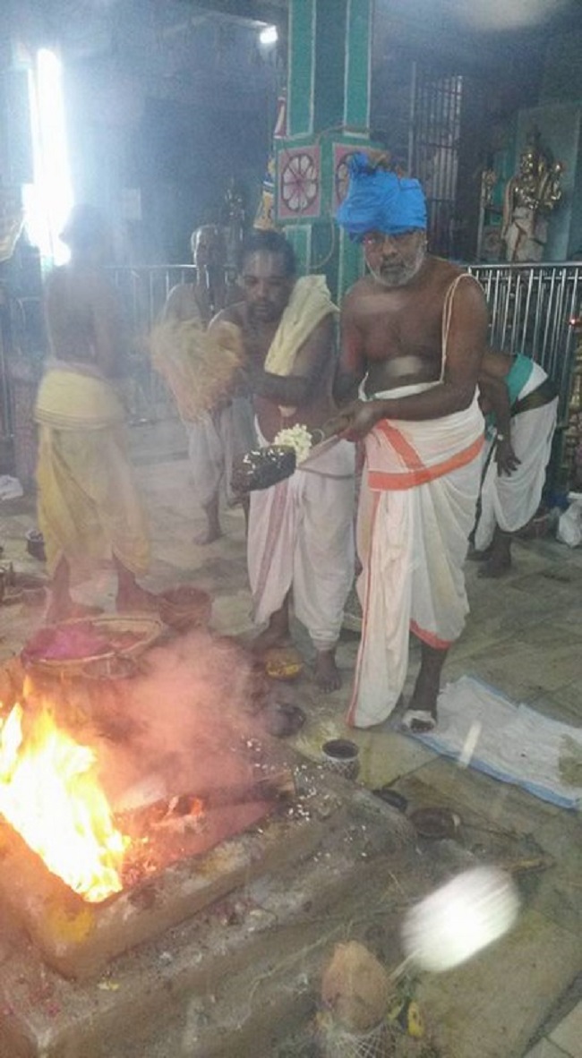 Thiruvinnagar Sri Oppilliappan Venkatachalapathi Temple Manmadha Varusha ThiruPavithrotsavam8