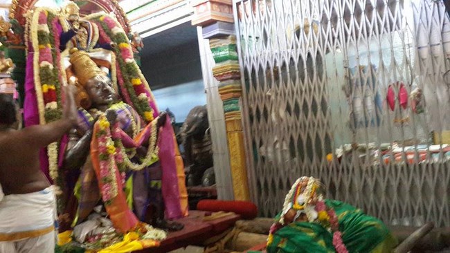 Thiruvinnagar Sri Oppilliappan Venkatachalapathi Temple Manmadha Varusha ThiruPavithrotsavam9