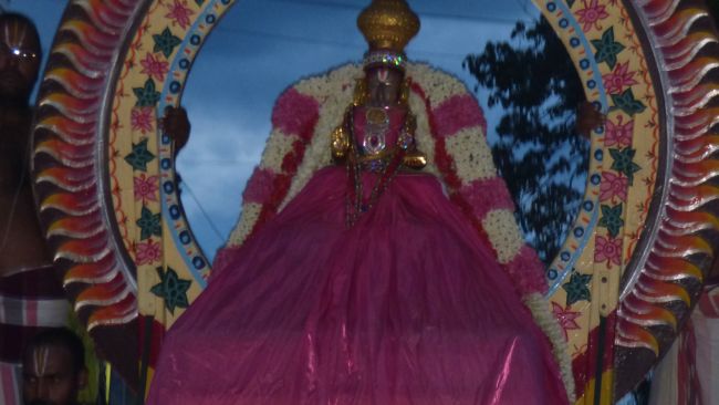 Thoopul Swami Desikan Sannadhi Thirunakshatra Surya prabhai 2015 09