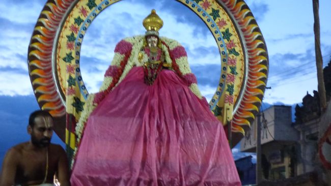 Thoopul Swami Desikan Sannadhi Thirunakshatra Surya prabhai 2015 30