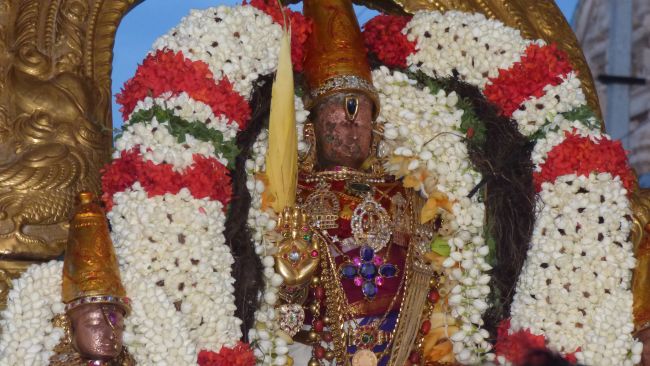 Thoopul Swami Desikan THirunakshatra Utsavam chandra prabhai 2015 15