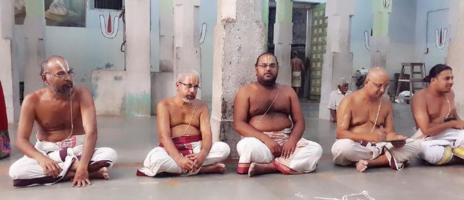 Thoopul Swami Desikan Thirunakshatra Utsava day-1 chapparam 2015 19