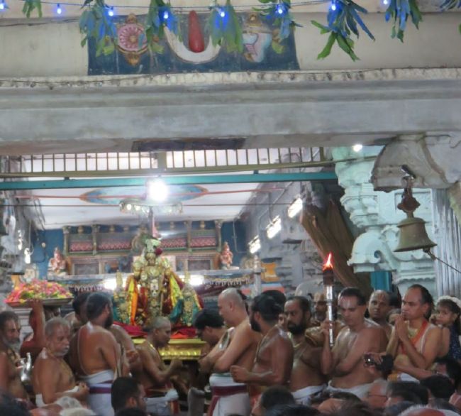 Thoopul Swami Desikan Thirunakshatra Utsavam Pushpa Pallaku  201502