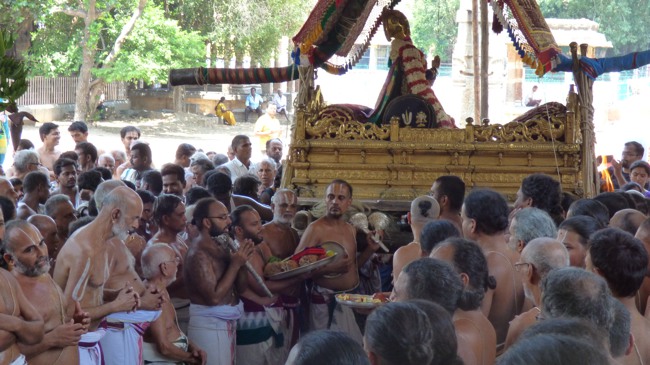 Thoopul Swami Desikan Thirunakshatra Utsavam Swami Desikan Arrives Kanchi Varadar Kovil-2015-45