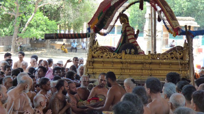 Thoopul Swami Desikan Thirunakshatra Utsavam Swami Desikan Arrives Kanchi Varadar Kovil-2015-46