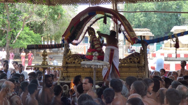 Thoopul Swami Desikan Thirunakshatra Utsavam Swami Desikan Arrives Kanchi Varadar Kovil-2015-49