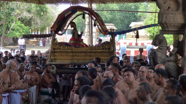 Thoopul Swami Desikan Thirunakshatra Utsavam Swami Desikan Arrives Kanchi Varadar Kovil-2015-50