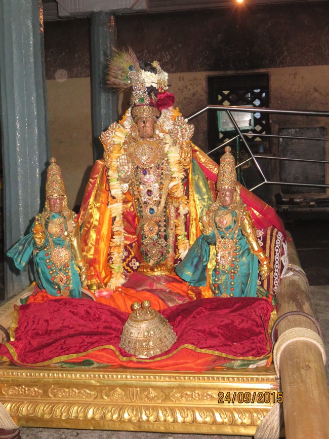 Thoopul Swami Desikan Thirunakshatra Utsavam Varadar Kovil Piriya Vidai -2015-45