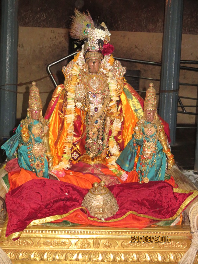 Thoopul Swami Desikan Thirunakshatra Utsavam Varadar Kovil Piriya Vidai -2015-47