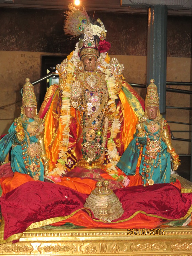 Thoopul Swami Desikan Thirunakshatra Utsavam Varadar Kovil Piriya Vidai -2015-48