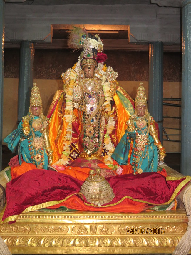Thoopul Swami Desikan Thirunakshatra Utsavam Varadar Kovil Piriya Vidai -2015-50