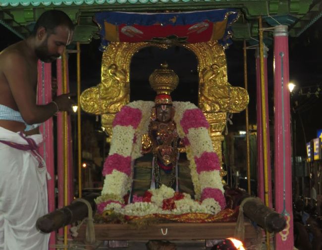 Thoopul Swami Desikan Thirunakshatra Utsavam day 1 chapparam 2015 14