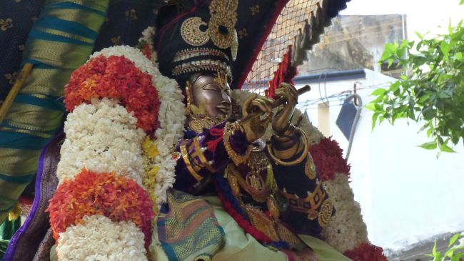 Thoopul Swami Desikan Thirunakshatra Utsavam day 3 Morning 2015 01