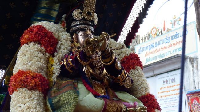 Thoopul Swami Desikan Thirunakshatra Utsavam day 3 Morning 2015 39