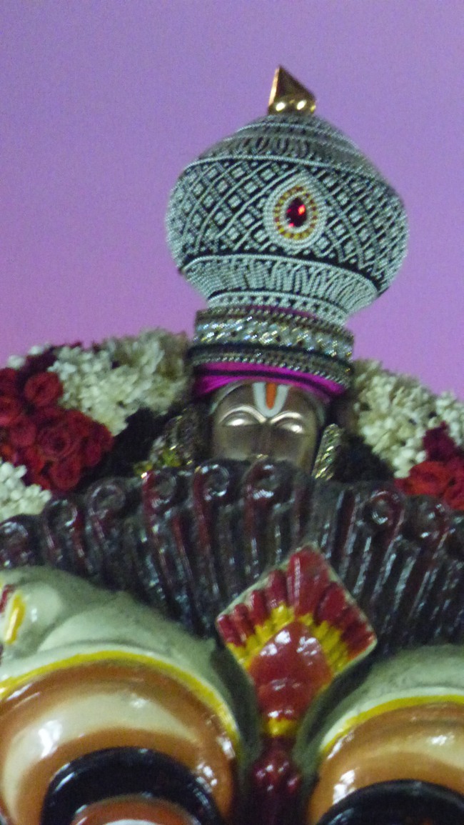 Thoopul Swami Desikan Thirunakshatra Utsavam day 9 Simha Vahanam -2015-01