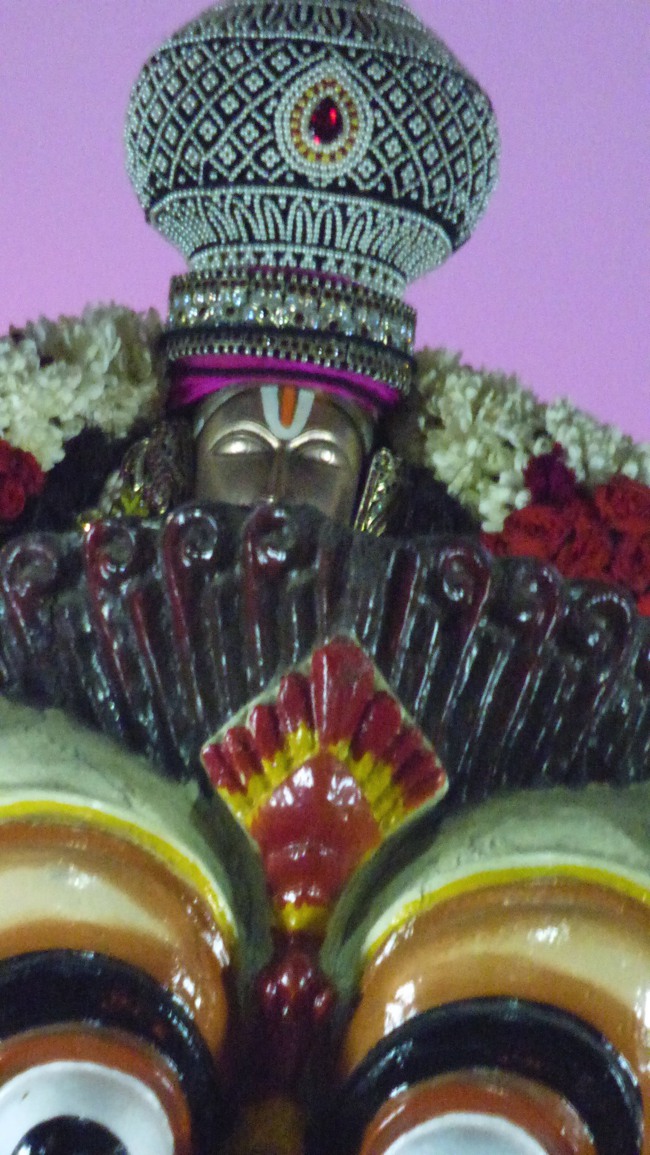 Thoopul Swami Desikan Thirunakshatra Utsavam day 9 Simha Vahanam -2015-05