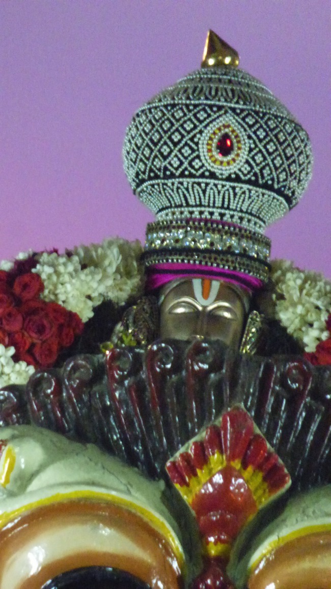 Thoopul Swami Desikan Thirunakshatra Utsavam day 9 Simha Vahanam -2015-06