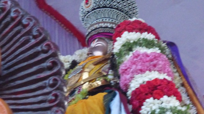 Thoopul Swami Desikan Thirunakshatra Utsavam day 9 Simha Vahanam -2015-17