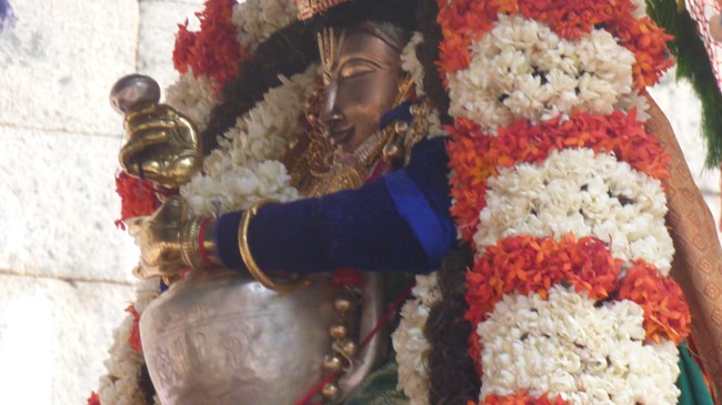Thoopul Swami Desikan Thirunakshatra Utsavam day 9 Vennai Thazhi Utsavam -2015-0028