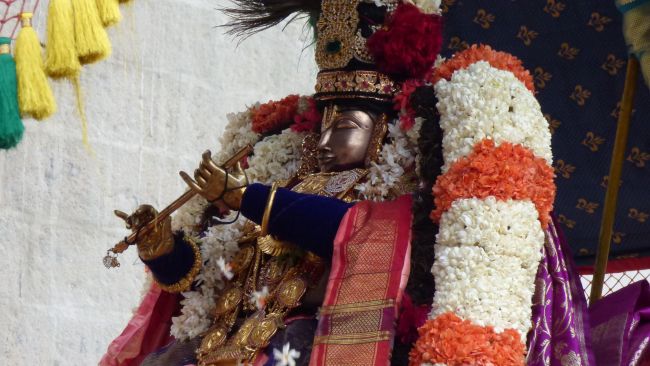 Thoopul  Swami desikan Thirunakshatra Utsavam day 6 Morning 2015 10