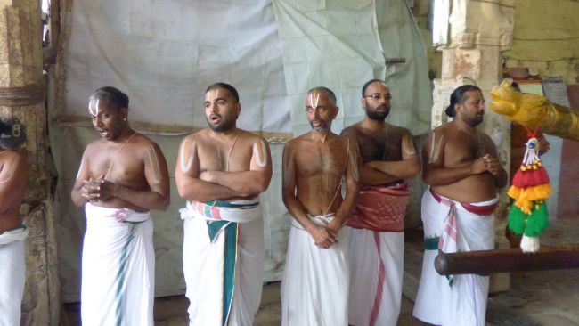 Thoopul  Swami desikan Thirunakshatra Utsavam day 6 Morning 2015 29