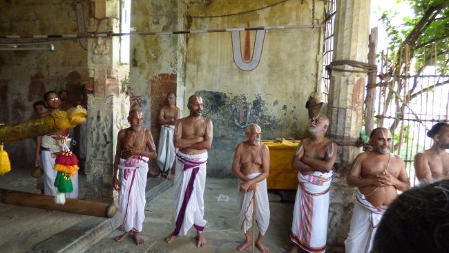 Thoopul  Swami desikan Thirunakshatra Utsavam day 6 Morning 2015 31