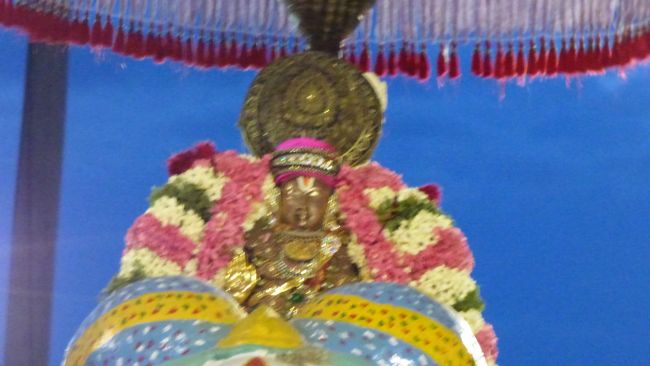 Thoopul  Swami desikan Thirunakshatra Utsavam day 6 Yanai Vahanam2015 07