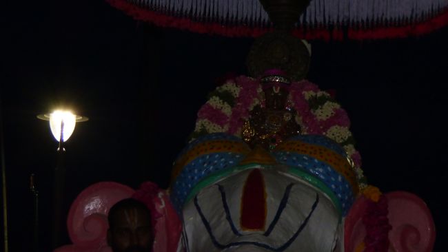Thoopul  Swami desikan Thirunakshatra Utsavam day 6 Yanai Vahanam2015 09