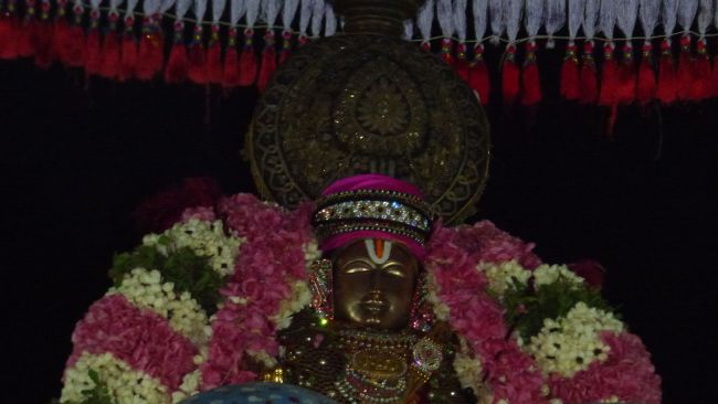 Thoopul  Swami desikan Thirunakshatra Utsavam day 6 Yanai Vahanam2015 19