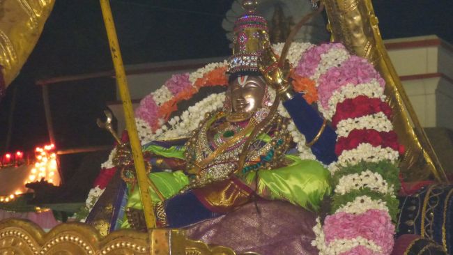 Thoopul Swami desikan Thirunakshatra Utsavam day 7 Evening Purappadu 2015 01