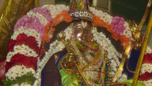 Thoopul Swami desikan Thirunakshatra Utsavam day 7 Evening Purappadu 2015 06
