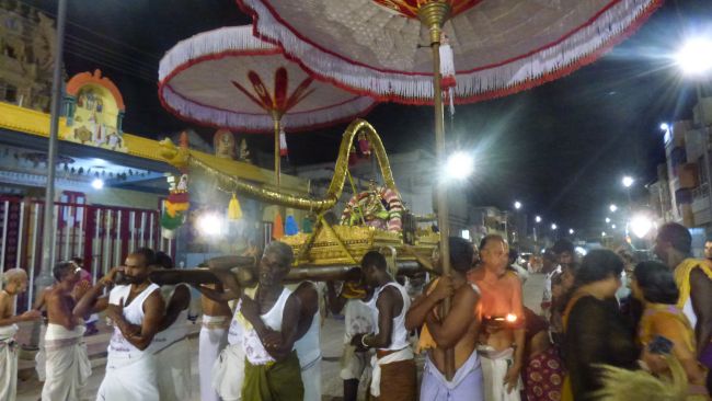 Thoopul Swami desikan Thirunakshatra Utsavam day 7 Evening Purappadu 2015 08