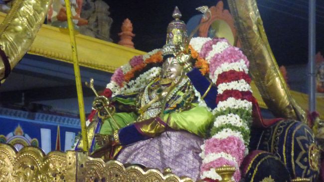 Thoopul Swami desikan Thirunakshatra Utsavam day 7 Evening Purappadu 2015 09