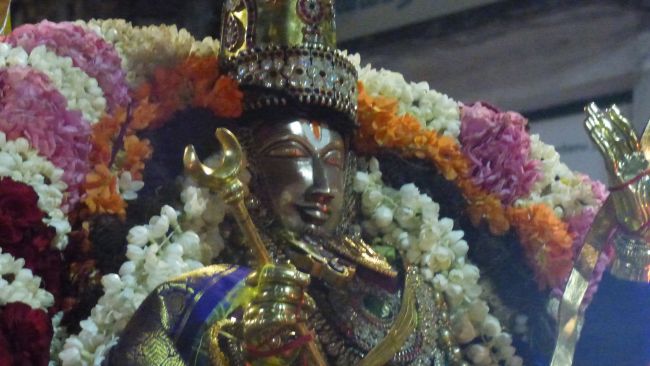 Thoopul Swami desikan Thirunakshatra Utsavam day 7 Evening Purappadu 2015 11