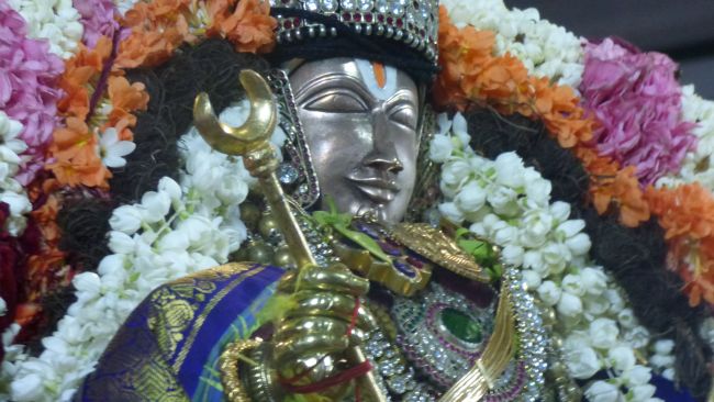 Thoopul Swami desikan Thirunakshatra Utsavam day 7 Evening Purappadu 2015 12