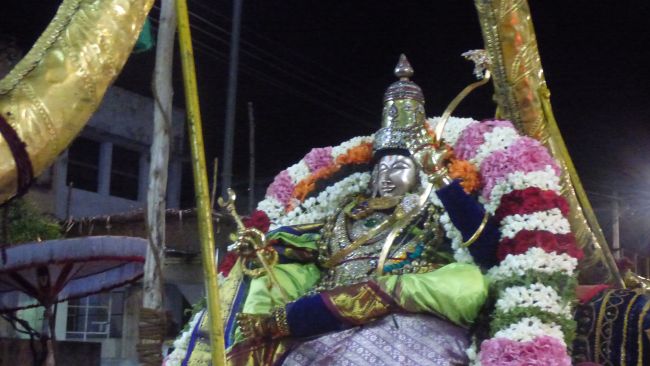 Thoopul Swami desikan Thirunakshatra Utsavam day 7 Evening Purappadu 2015 14