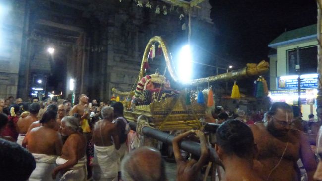 Thoopul Swami desikan Thirunakshatra Utsavam day 7 Evening Purappadu 2015 19