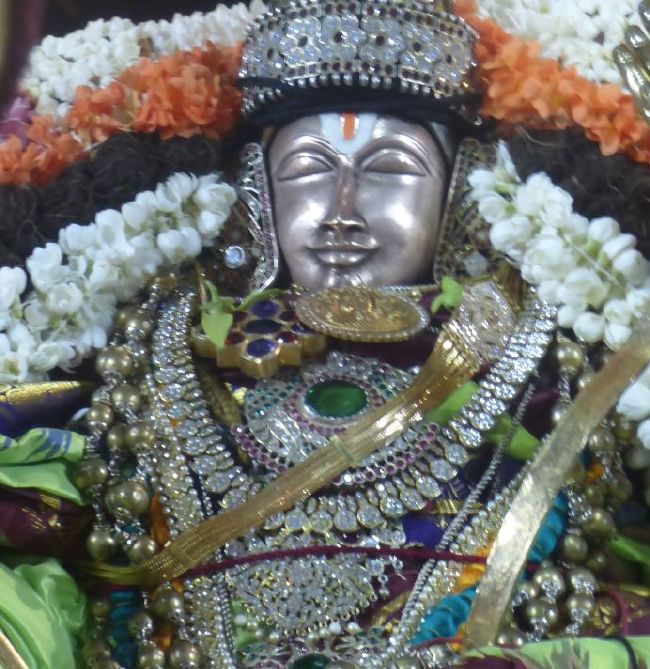 Thoopul Swami desikan Thirunakshatra Utsavam day 7 Evening Purappadu 2015 22