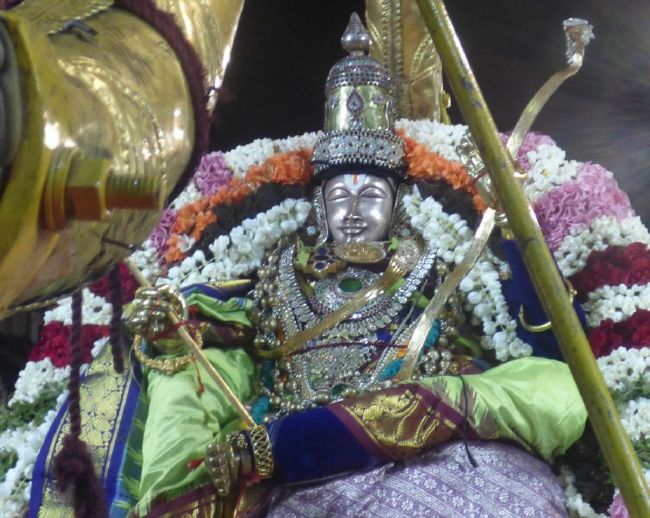 Thoopul Swami desikan Thirunakshatra Utsavam day 7 Evening Purappadu 2015 23