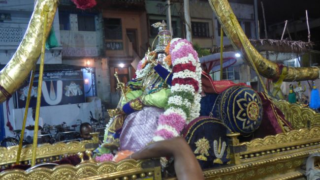 Thoopul Swami desikan Thirunakshatra Utsavam day 7 Evening Purappadu 2015 24